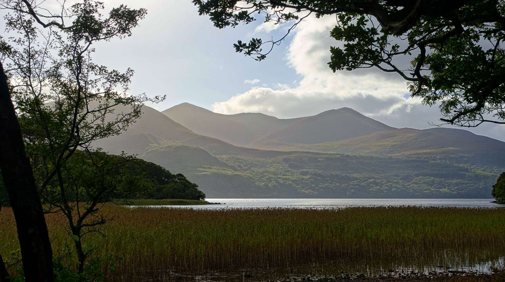 Irland / County Kerry / Lough Leane